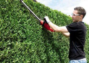 Einhell Кущоріз Einhell GC-EH 4550 &mdash; товар в інтернет-магазині eTorg &mdash; торгуйся, купляй вигідно